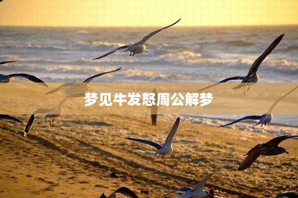 梦见牛发怒周公解梦