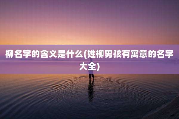 柳名字的含义是什么(姓柳男孩有寓意的名字大全)