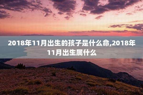 2018年11月出生的孩子是什么命,2018年11月出生属什么