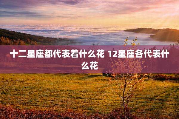 十二星座都代表着什么花 12星座各代表什么花