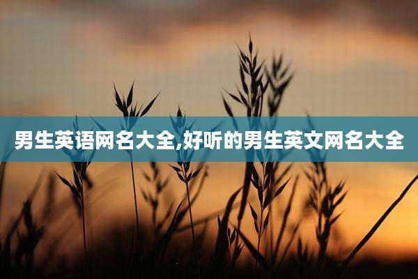 男生英语网名大全,好听的男生英文网名大全