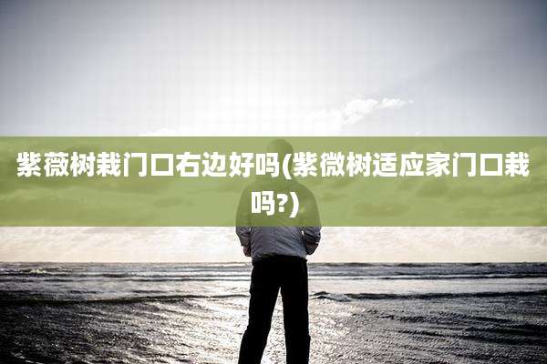 紫薇树栽门口右边好吗(紫微树适应家门口栽吗?)