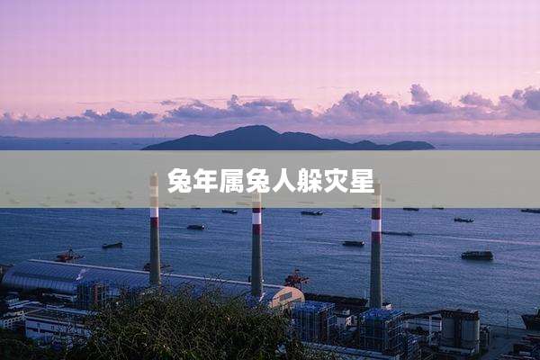兔年属兔人躲灾星