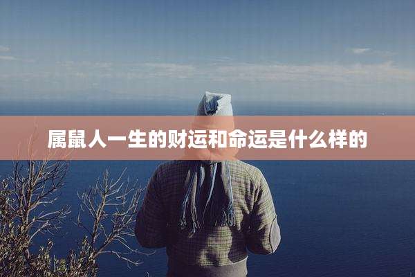 属鼠人一生的财运和命运是什么样的