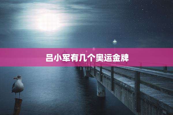 吕小军有几个奥运金牌