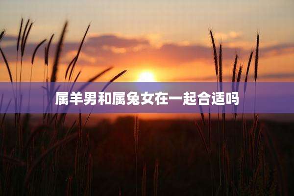 属羊男和属兔女在一起合适吗