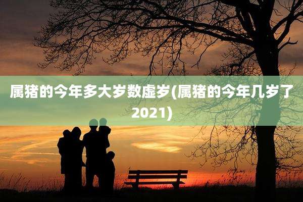 属猪的今年多大岁数虚岁(属猪的今年几岁了2021)