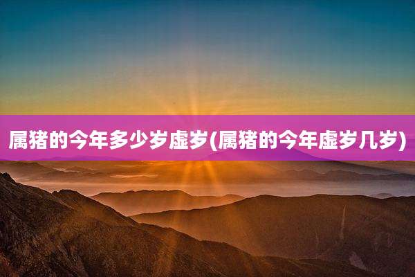属猪的今年多少岁虚岁(属猪的今年虚岁几岁)