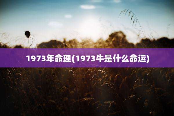 1973年命理(1973牛是什么命运)