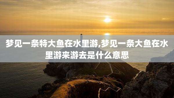 梦见一条特大鱼在水里游,梦见一条大鱼在水里游来游去是什么意思