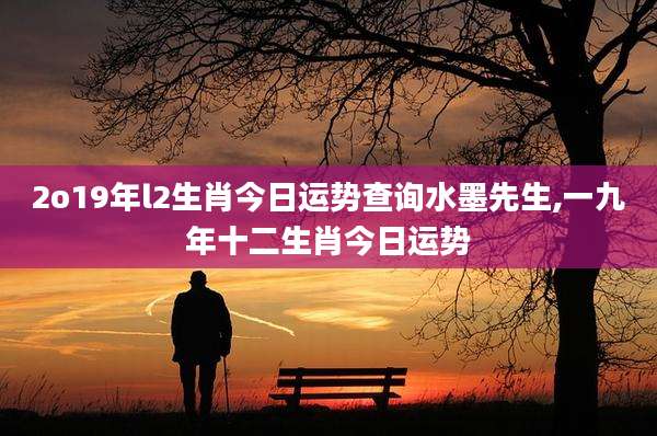 2o19年l2生肖今日运势查询水墨先生,一九年十二生肖今日运势