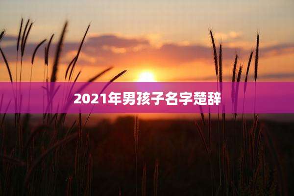 2021年男孩子名字楚辞