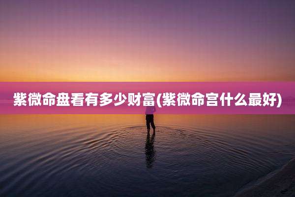 紫微命盘看有多少财富(紫微命宫什么最好)