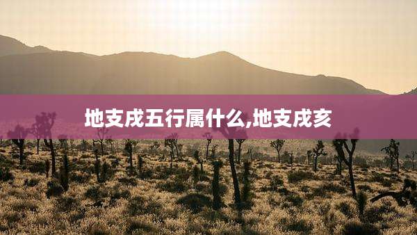 地支戌五行属什么,地支戌亥