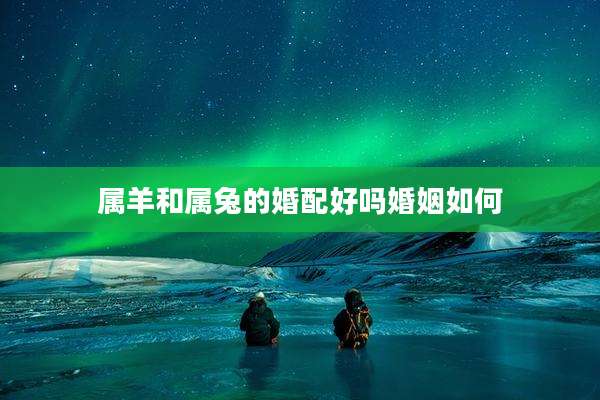 属羊和属兔的婚配好吗婚姻如何