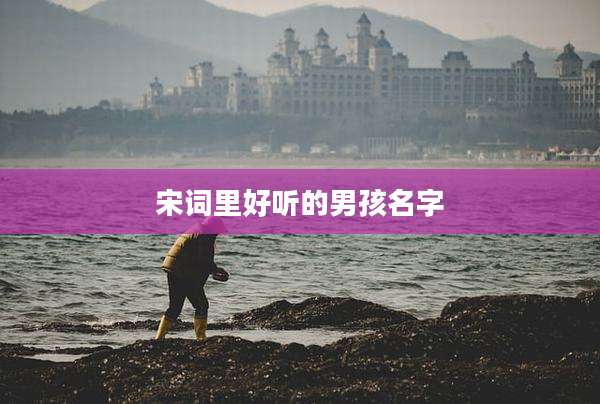 宋词里好听的男孩名字