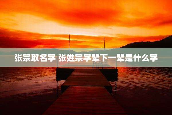 张宗取名字 张姓宗字辈下一辈是什么字