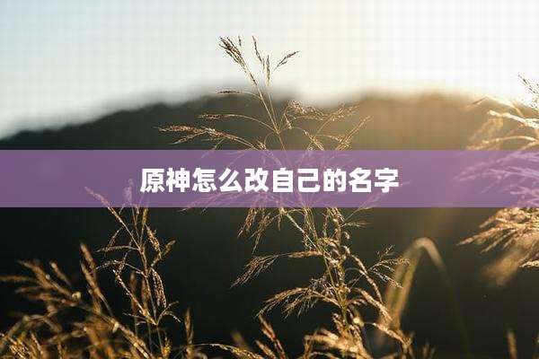 原神怎么改自己的名字