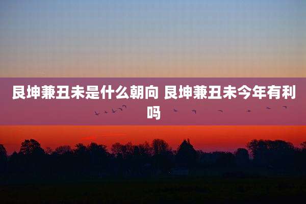 艮坤兼丑未是什么朝向 艮坤兼丑未今年有利吗