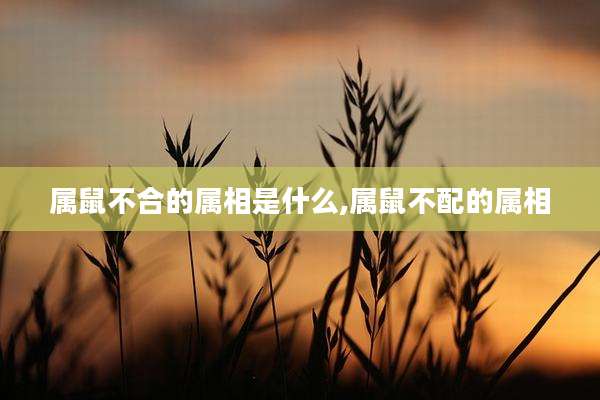 属鼠不合的属相是什么,属鼠不配的属相