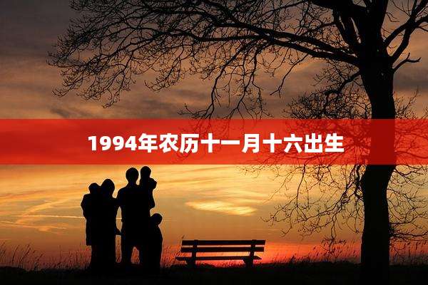 1994年农历十一月十六出生