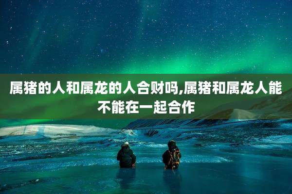 属猪的人和属龙的人合财吗,属猪和属龙人能不能在一起合作