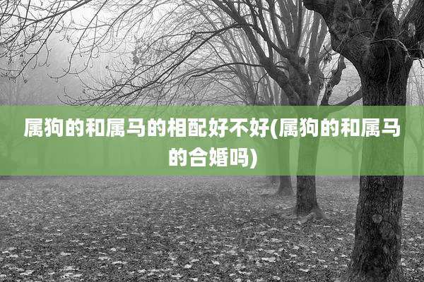 属狗的和属马的相配好不好(属狗的和属马的合婚吗)