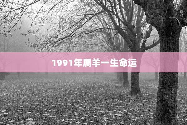 1991年属羊一生命运