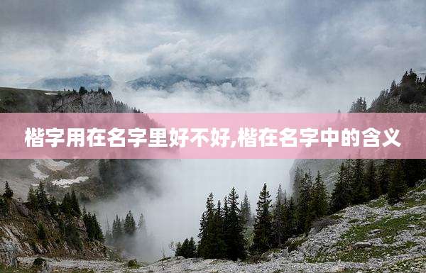 楷字用在名字里好不好,楷在名字中的含义