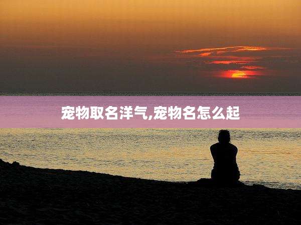 宠物取名洋气,宠物名怎么起