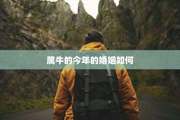 属牛的今年的婚姻如何
