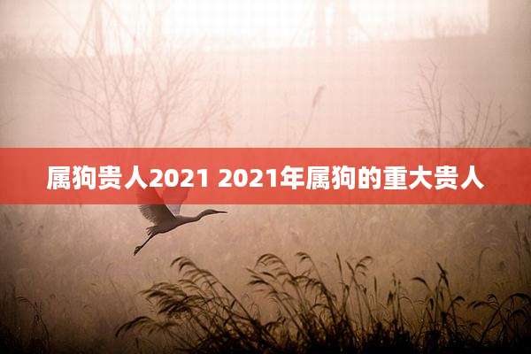 属狗贵人2021 2021年属狗的重大贵人