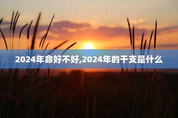 2024年命好不好,2024年的干支是什么