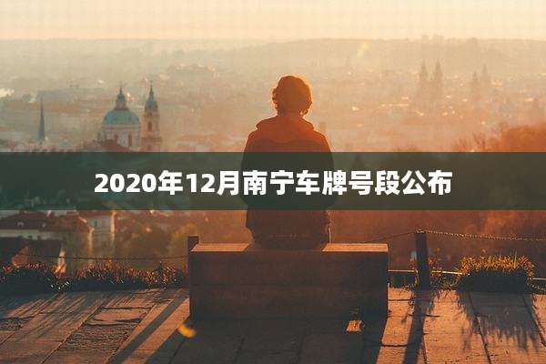 2020年12月南宁车牌号段公布