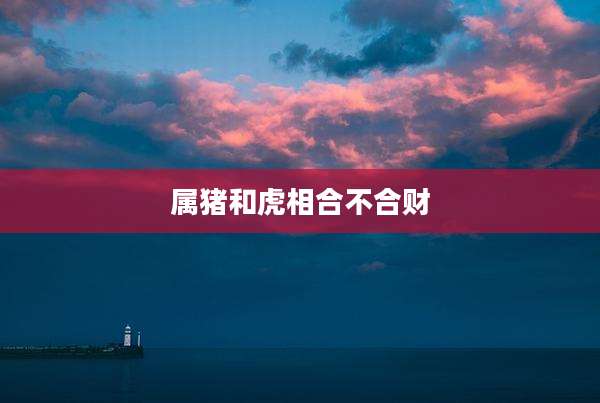 属猪和虎相合不合财