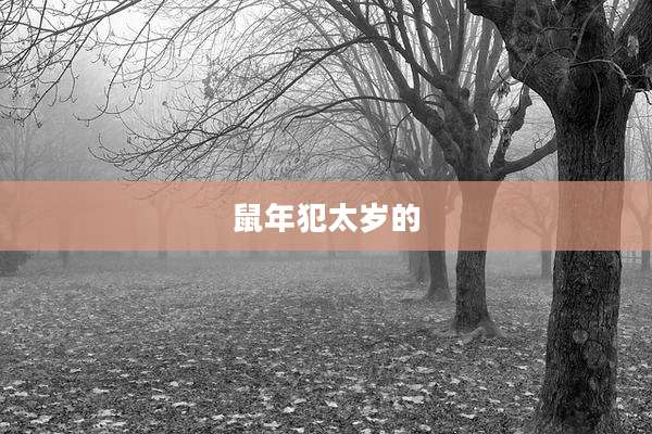 鼠年犯太岁的