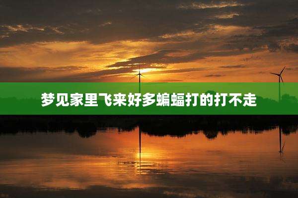 梦见家里飞来好多蝙蝠打的打不走
