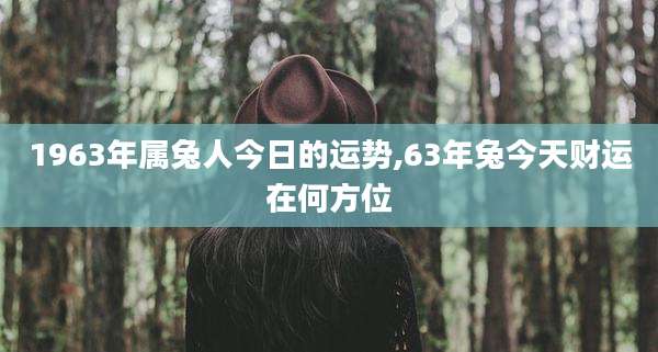 1963年属兔人今日的运势,63年兔今天财运在何方位