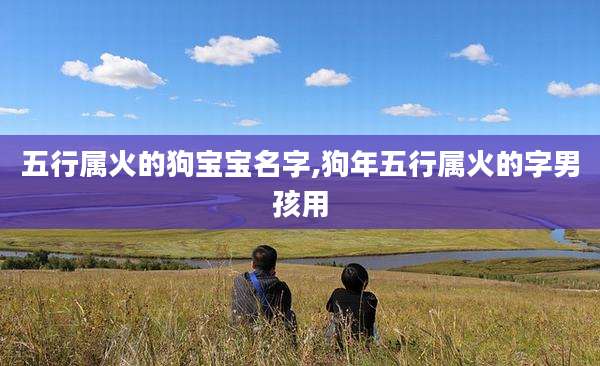 五行属火的狗宝宝名字,狗年五行属火的字男孩用