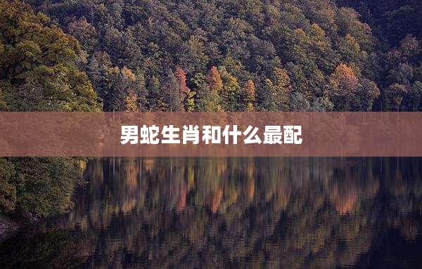 男蛇生肖和什么最配