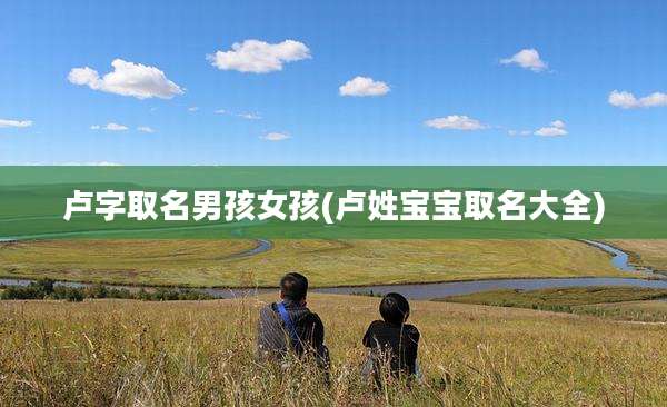 卢字取名男孩女孩(卢姓宝宝取名大全)