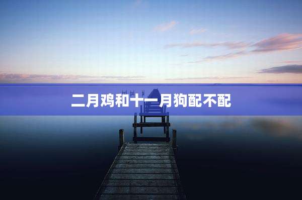 二月鸡和十一月狗配不配