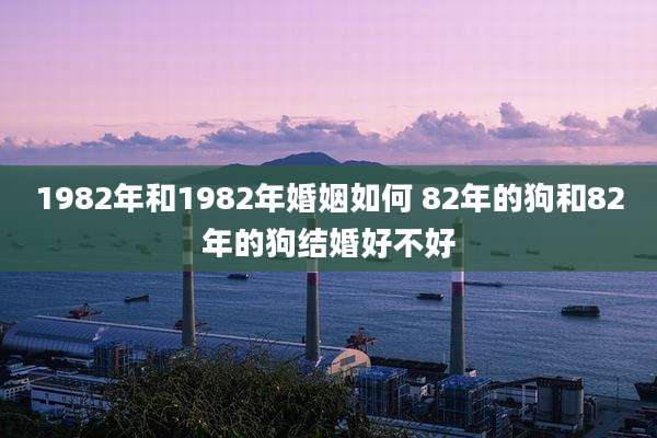 1982年和1982年婚姻如何 82年的狗和82年的狗结婚好不好