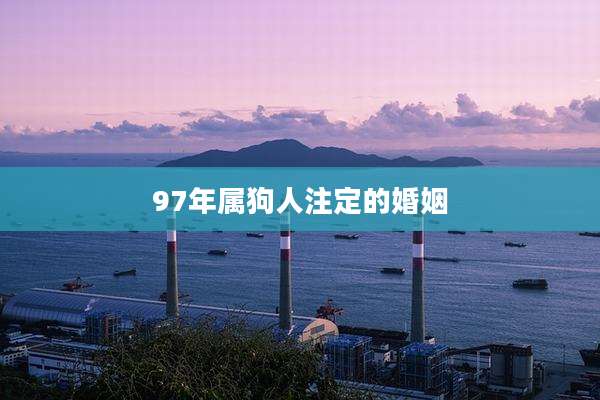 97年属狗人注定的婚姻