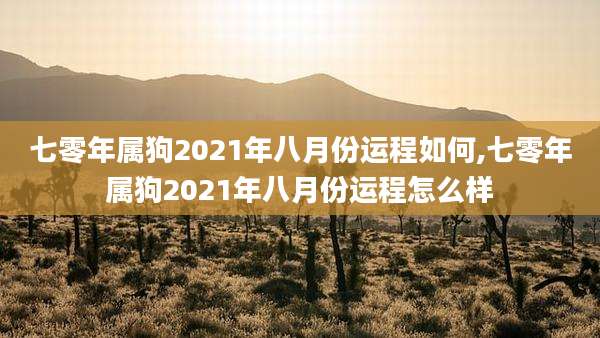 七零年属狗2021年八月份运程如何,七零年属狗2021年八月份运程怎么样