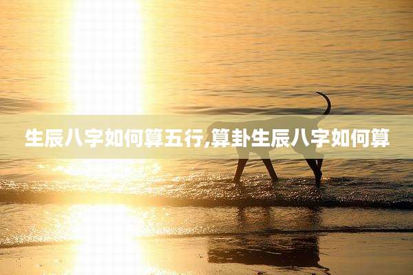 生辰八字如何算五行,算卦生辰八字如何算