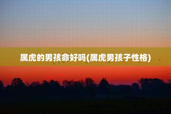 属虎的男孩命好吗(属虎男孩子性格)