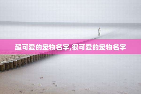 超可爱的宠物名字,很可爱的宠物名字