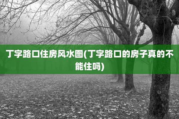 丁字路口住房风水图(丁字路口的房子真的不能住吗)