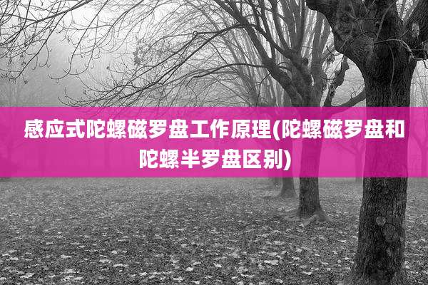 感应式陀螺磁罗盘工作原理(陀螺磁罗盘和陀螺半罗盘区别)